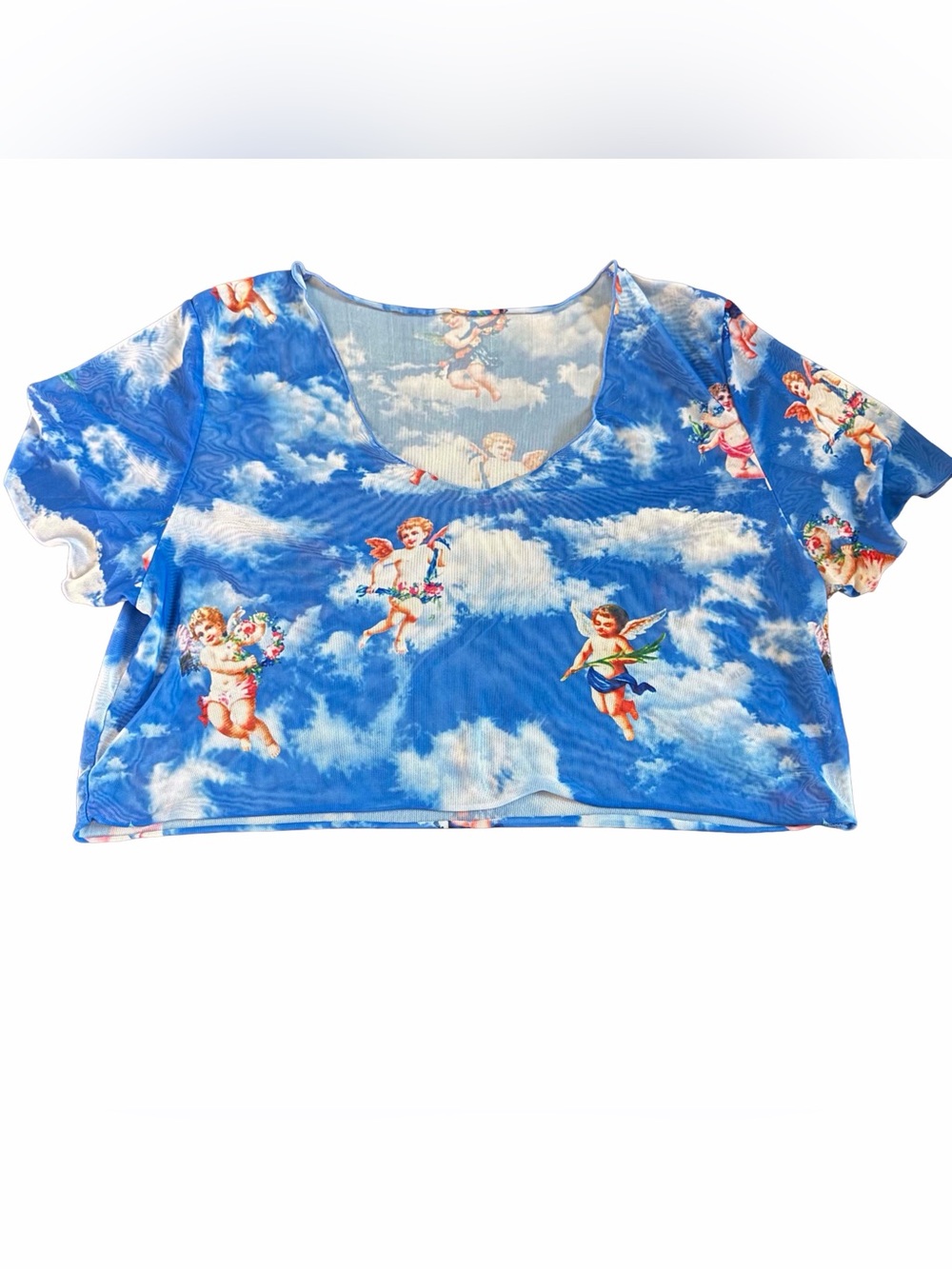 SHEIN Sky Blue Cherub Print Women’s Mesh Crop Top